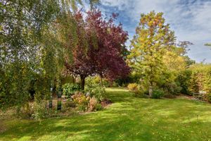 Garden- click for photo gallery